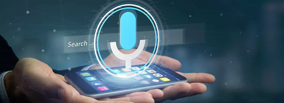 Enhance Security with Voice Recognition Access Systems in Bonita Springs, FL