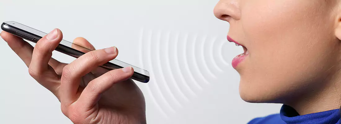 Residential and Commercial Voice Recognition Access Solutions in Bonita Springs, FL